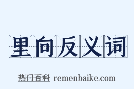 里向反义词是什么意思的图片